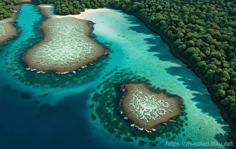 코트디부아르 해양 보호구역 - Here are three detailed image prompts in English, inspired by the provided text about Côte d'Ivoire'...