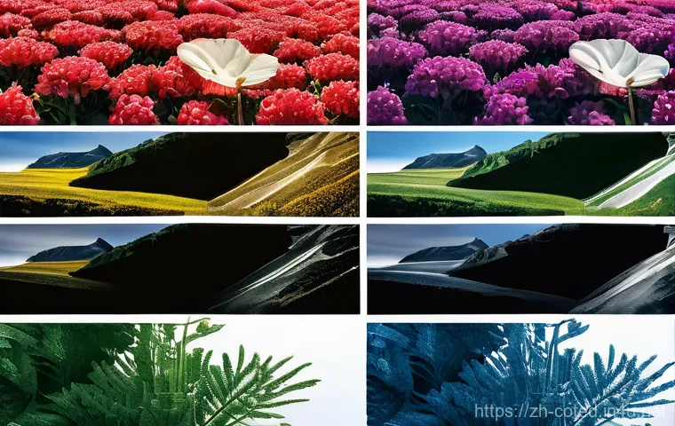 코트디부아르 코모에 국립공원 - Here are three detailed image prompts in English, designed for image generation, adhering strictly t...